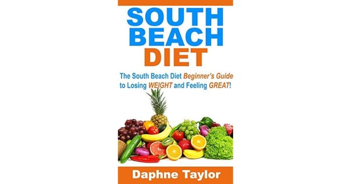 South Beach Diet Book Online