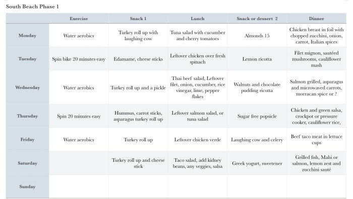 South Beach Diet Phase 1 Meals