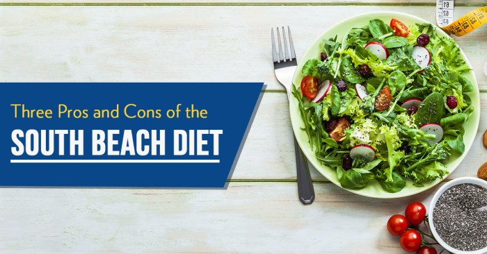 Pros And Cons Of South Beach Diet