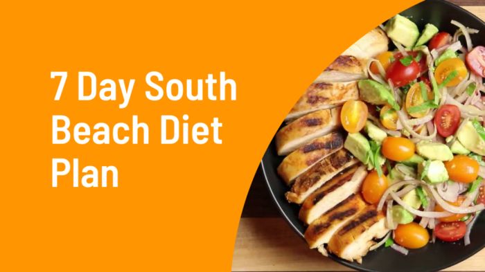 South Beach Diet Plan Online