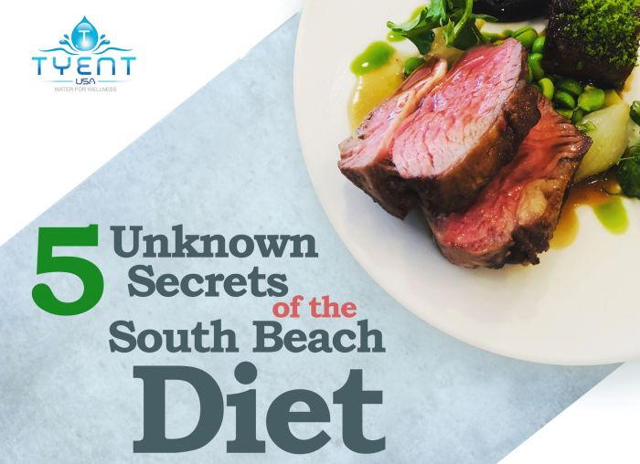 South Beach Diet Drinks