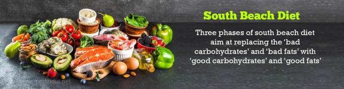 South Beach Diet Principles