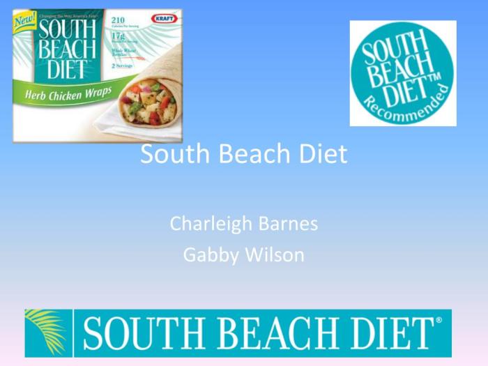 South Beach Diet Overview